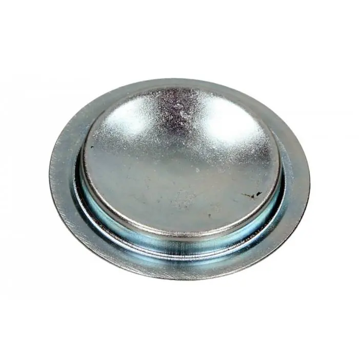 Expressz szállítás Fagydugó átmérő: 50 mm Fiat,Lancia