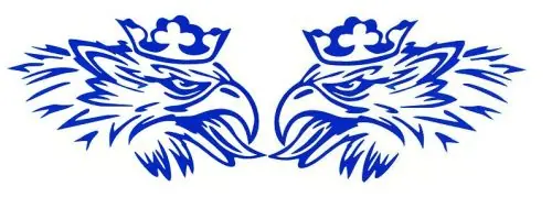 Újdonság Scania Griff matrica párban 20cm KÉK