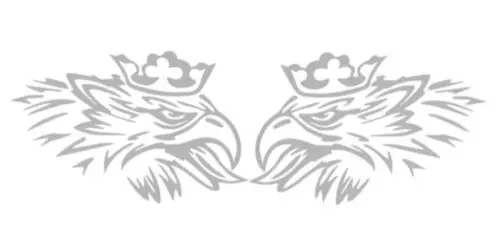 Scania Griff matrica párban 20cm EZÜST Legnépszerűbb